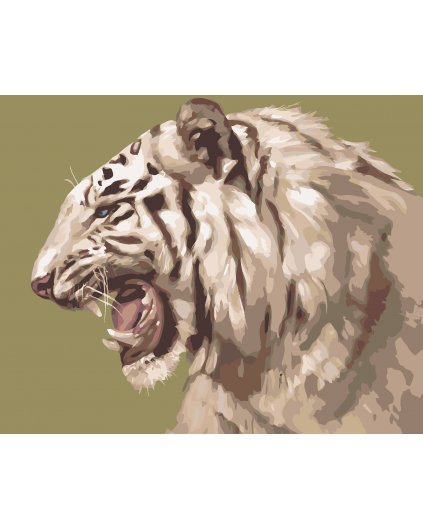 Malování podle čísel - ŘVOUCÍ BÍLÝ TYGR PORTRÉT (D. RUSTY RUST)