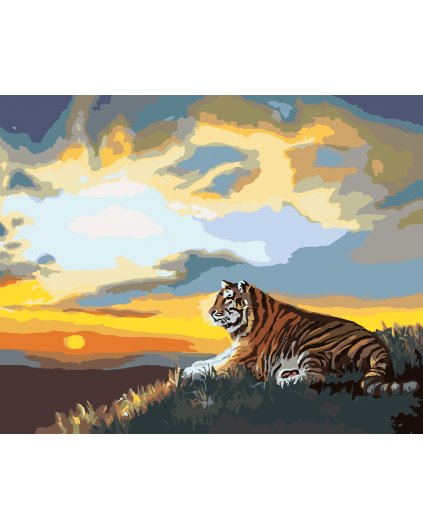 Malování podle čísel - TYGR A ZÁPAD SLUNCE (D. RUSTY RUST)
