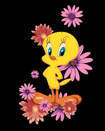 Malování podle čísel - TWEETY A RŮŽOVÉ KVĚTINY (LOONEY TUNES)