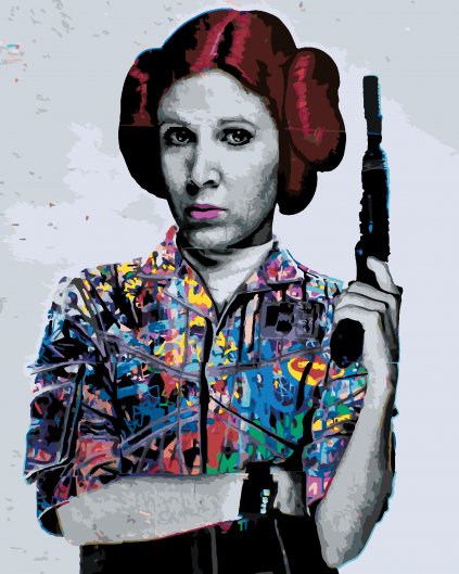 Malování podle čísel - POP ART PRINCEZNA LEIA (STAR WARS)