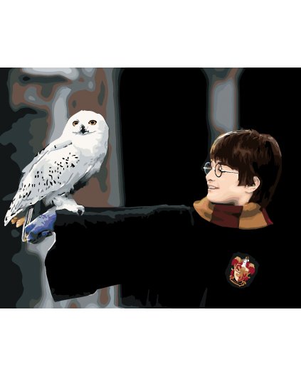 Malování podle čísel - HARRY POTTER S HEDVIKOU NA RUCE