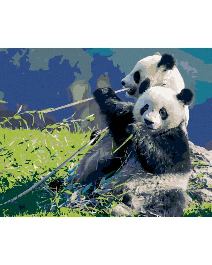 Diamantové malování - PANDA A BAMBUS