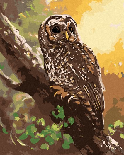 Diamantové malování - SOVA NA STROMĚ (D. RUSTY RUST)