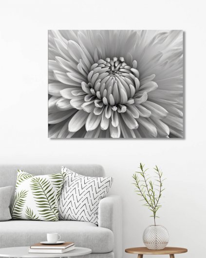 Obrazy na stěnu - Černobílá květina