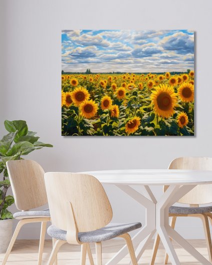 Obrazy na stěnu - Louka se slunečnicemi