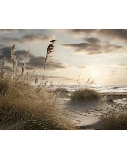 Obrazy na stěnu - Západ slunce na písečné pláži