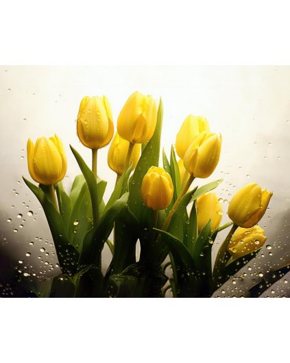 Obrazy na stěnu - Žluté tulipány v kapkách deště