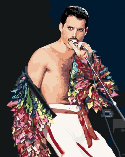 Malování podle čísel - FREDDIE MERCURY