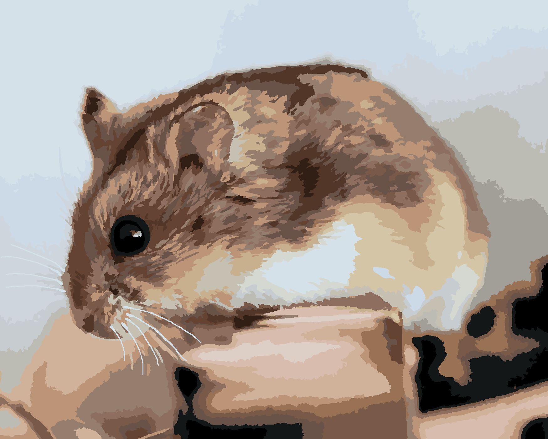 Malování podle čísel - KŘEČEK NA DŘEVĚ Rozměr: 40x50 cm, Rámování: vypnuté plátno na rám