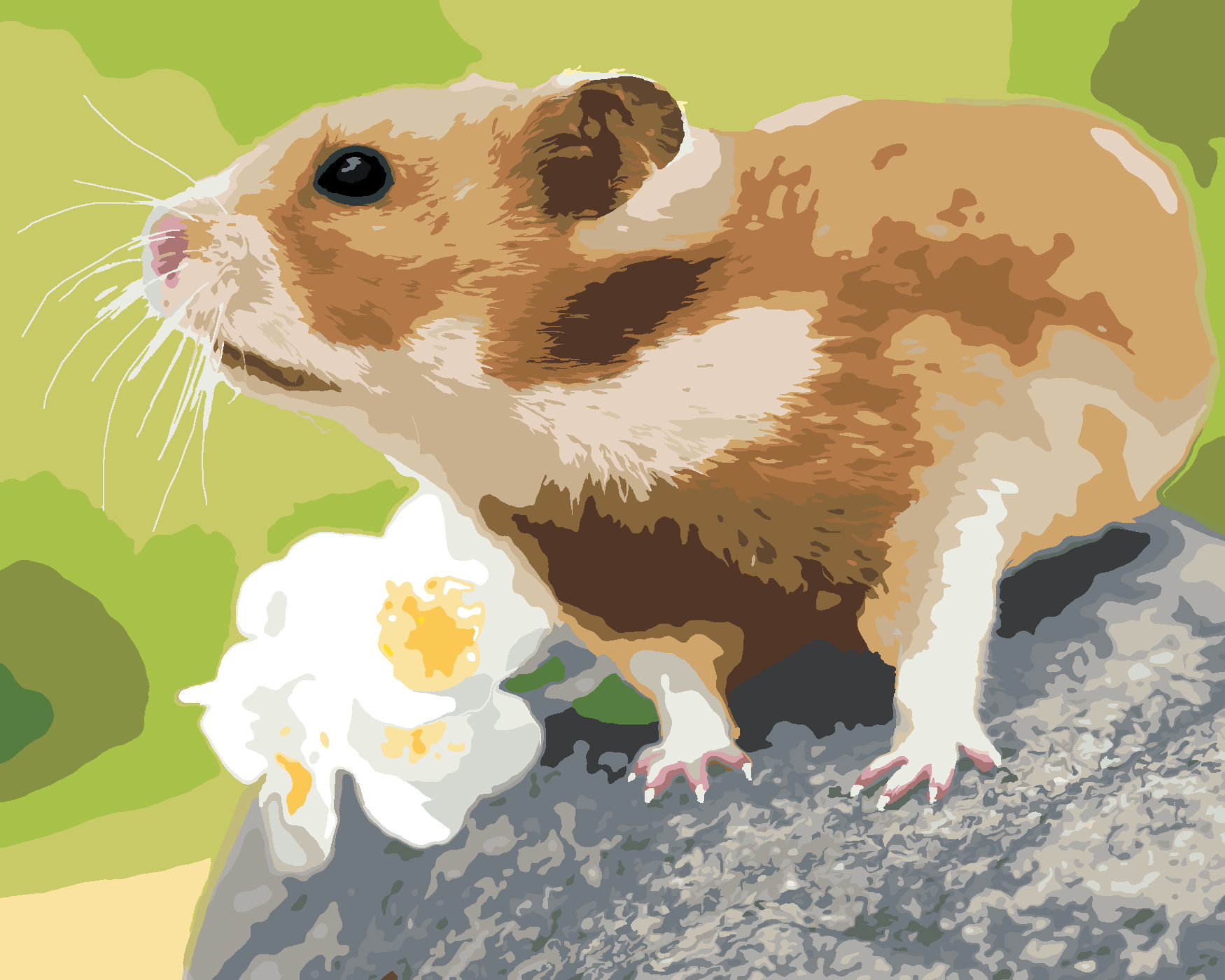 Malování podle čísel - KŘEČEK NA KAMENI Rozměr: 40x50 cm, Rámování: vypnuté plátno na rám