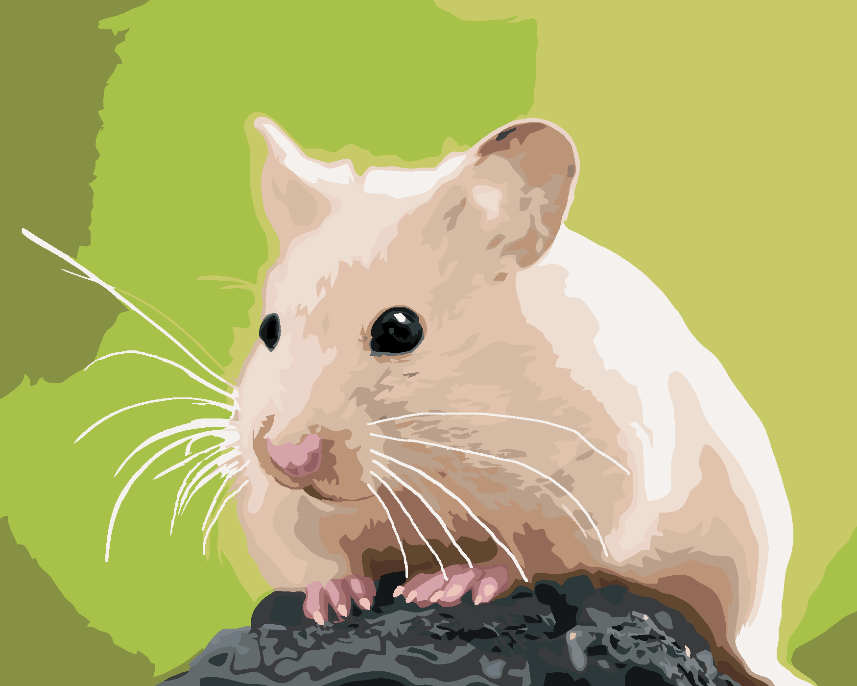 Malování podle čísel - ZLATÝ KŘEČEK NA KAMENI Rozměr: 40x50 cm, Rámování: vypnuté plátno na rám