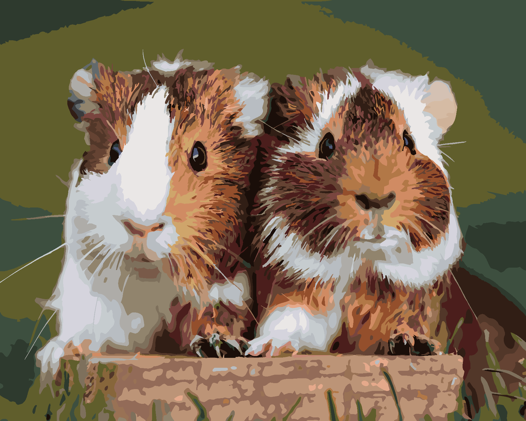 Malování podle čísel - DVĚ MILUJÍCÍ MORČATA Rozměr: 40x50 cm, Rámování: vypnuté plátno na rám