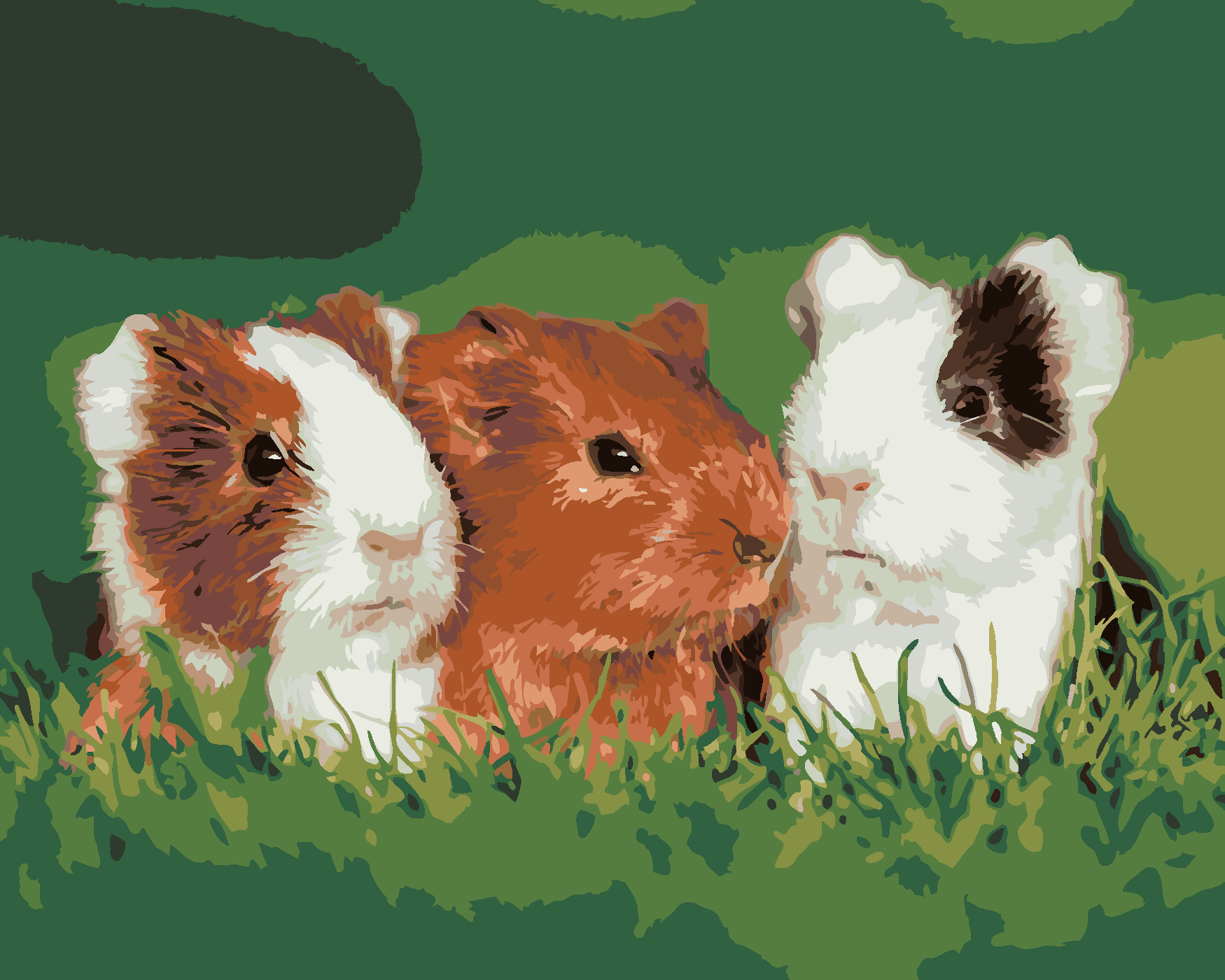 Malování podle čísel - MORČATA V TRÁVĚ Rozměr: 40x50 cm, Rámování: vypnuté plátno na rám