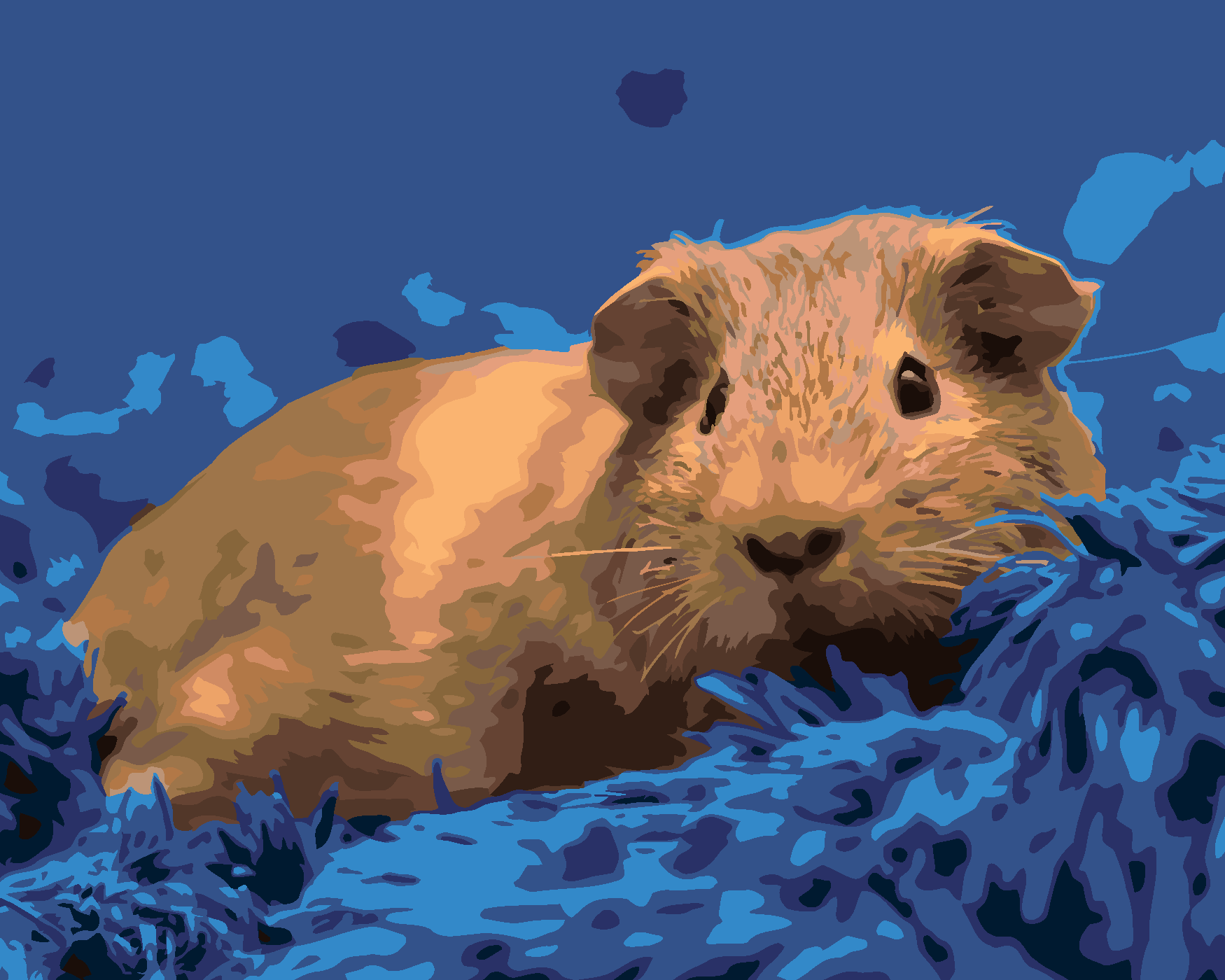 Malování podle čísel - MORČE NA MODRÉM KOBERCI Rozměr: 40x50 cm, Rámování: vypnuté plátno na rám