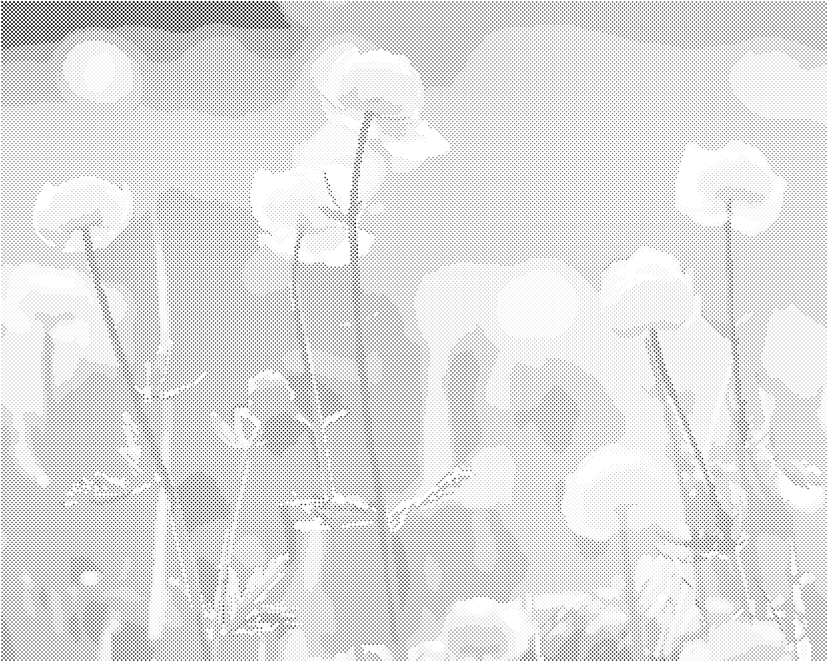 Tečkování - JARNÍ PŘÍRODA Rozměr: 80x100 cm, Rámování: vypnuté plátno na rám