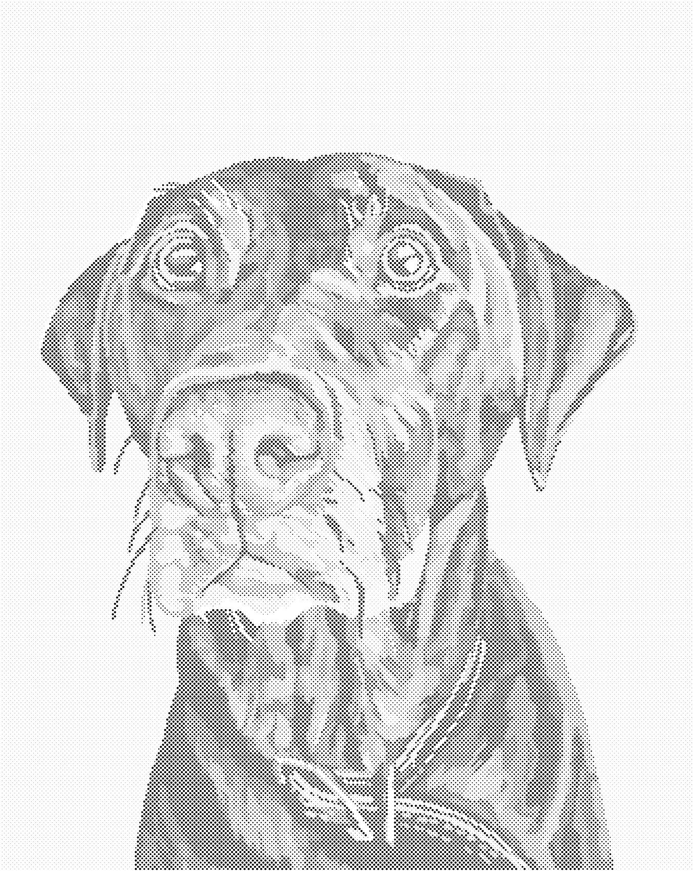 Tečkování - HNĚDÝ PES S HNĚDÝM OBOJKEM Rozměr: 80x100 cm, Rámování: vypnuté plátno na rám