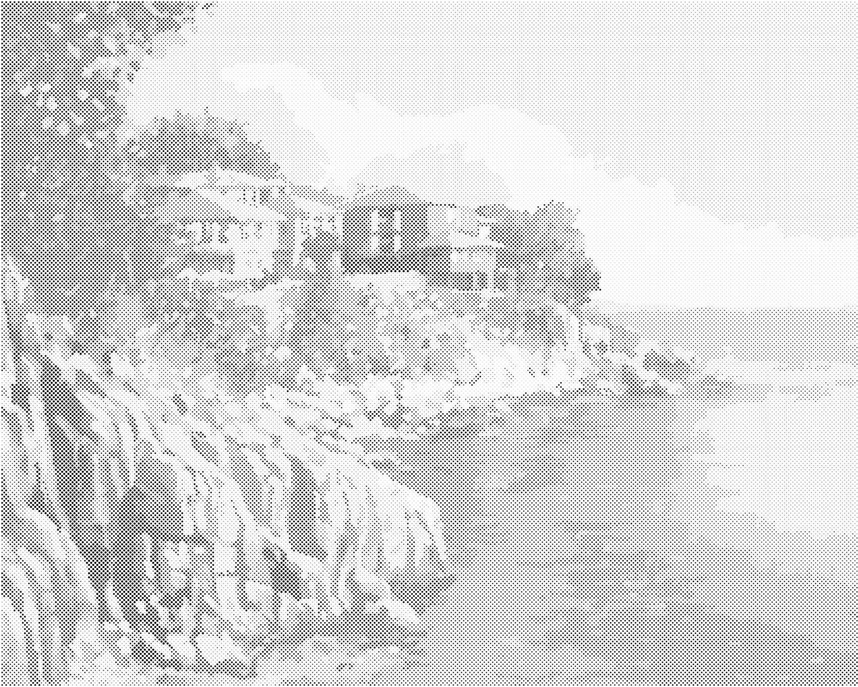 Tečkování - POBŘEŽÍ V BULHARSKU Rozměr: 80x100 cm, Rámování: vypnuté plátno na rám
