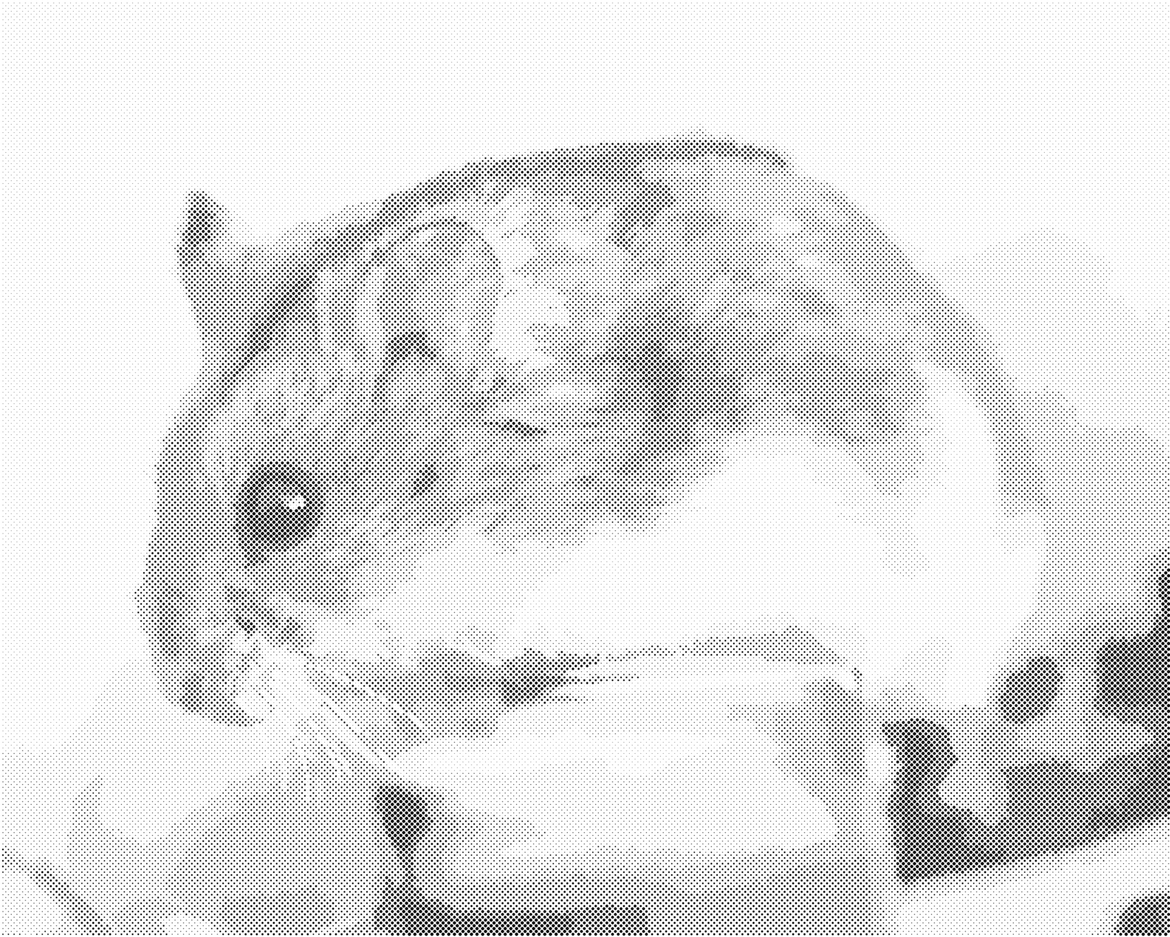 Tečkování - KŘEČEK NA DŘEVĚ Rozměr: 40x50 cm, Rámování: vypnuté plátno na rám