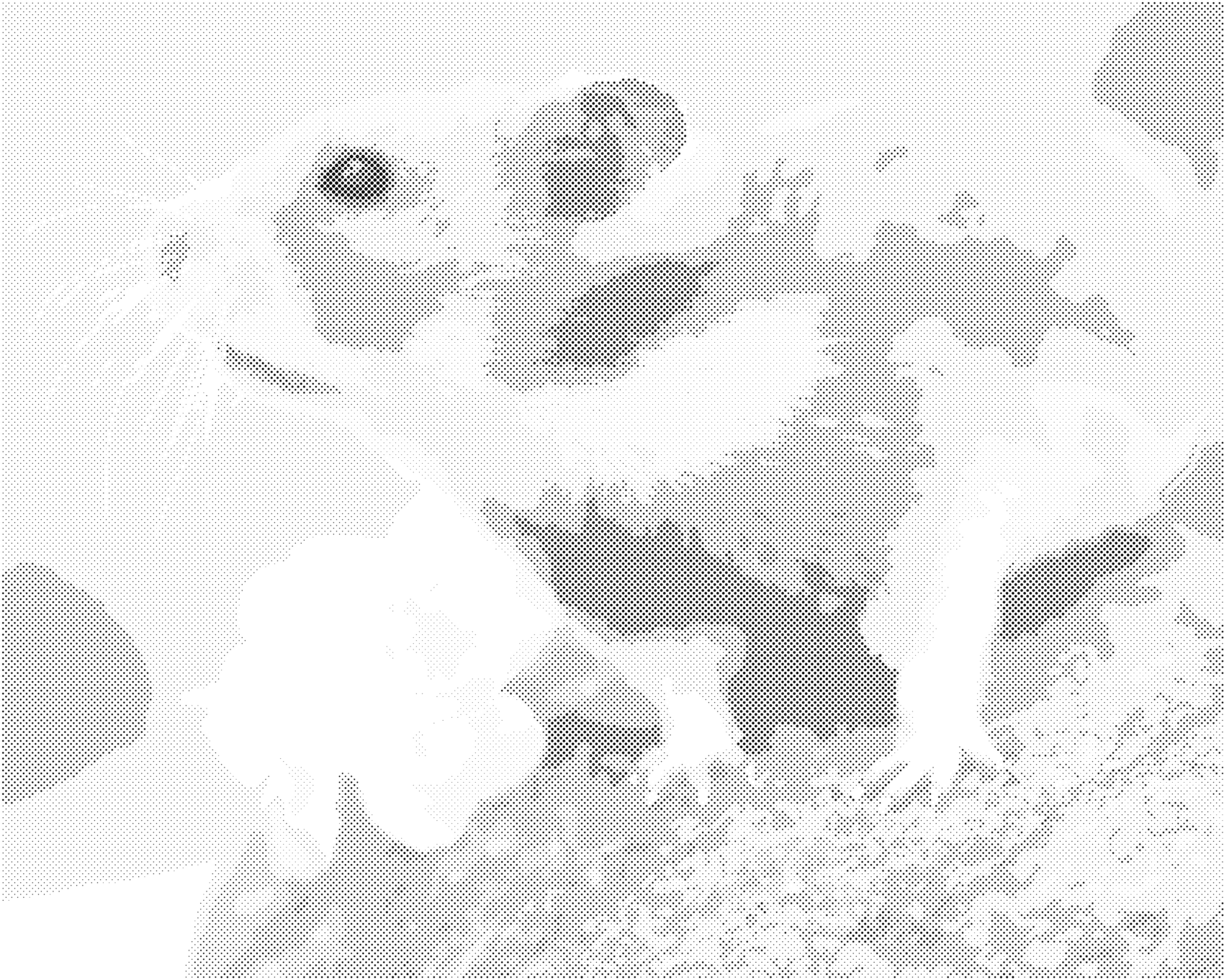 Tečkování - KŘEČEK NA KAMENI Rozměr: 40x50 cm, Rámování: vypnuté plátno na rám