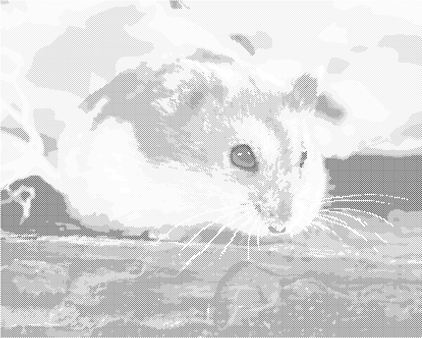 Tečkování - MALÝ KŘEČEK Rozměr: 40x50 cm, Rámování: vypnuté plátno na rám