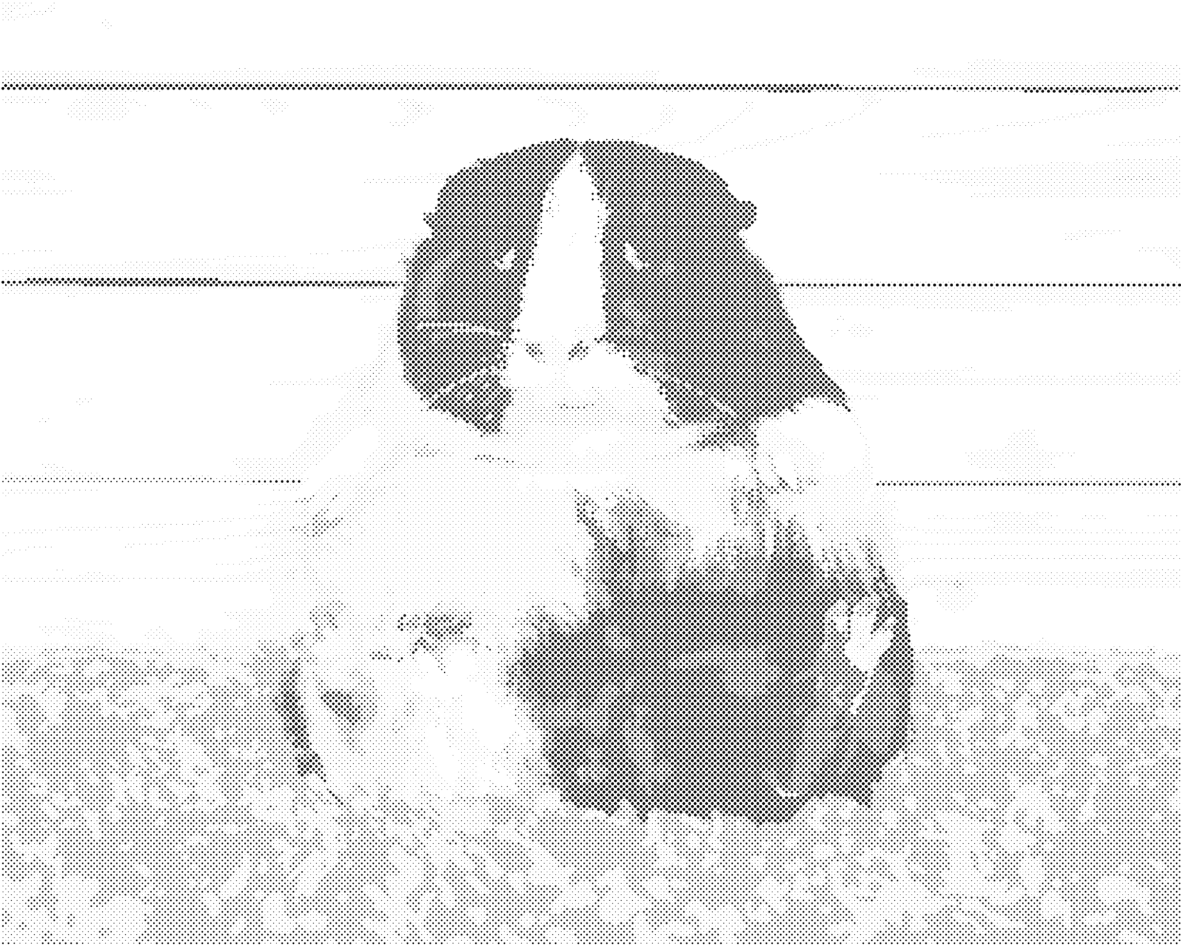 Tečkování - LÍNÉ MORČE Rozměr: 40x50 cm, Rámování: vypnuté plátno na rám