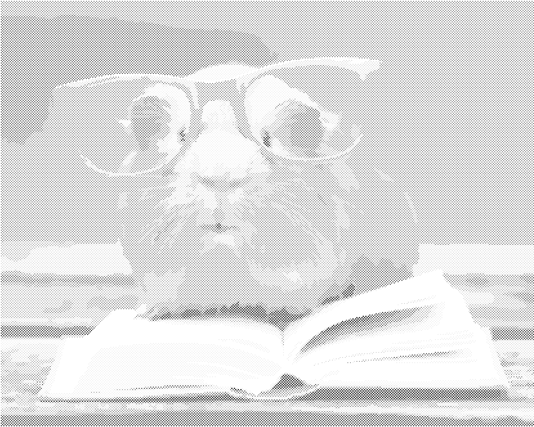 Tečkování - MORČE V BRÝLÍCH ČTE KNÍŽKU Rozměr: 40x50 cm, Rámování: vypnuté plátno na rám