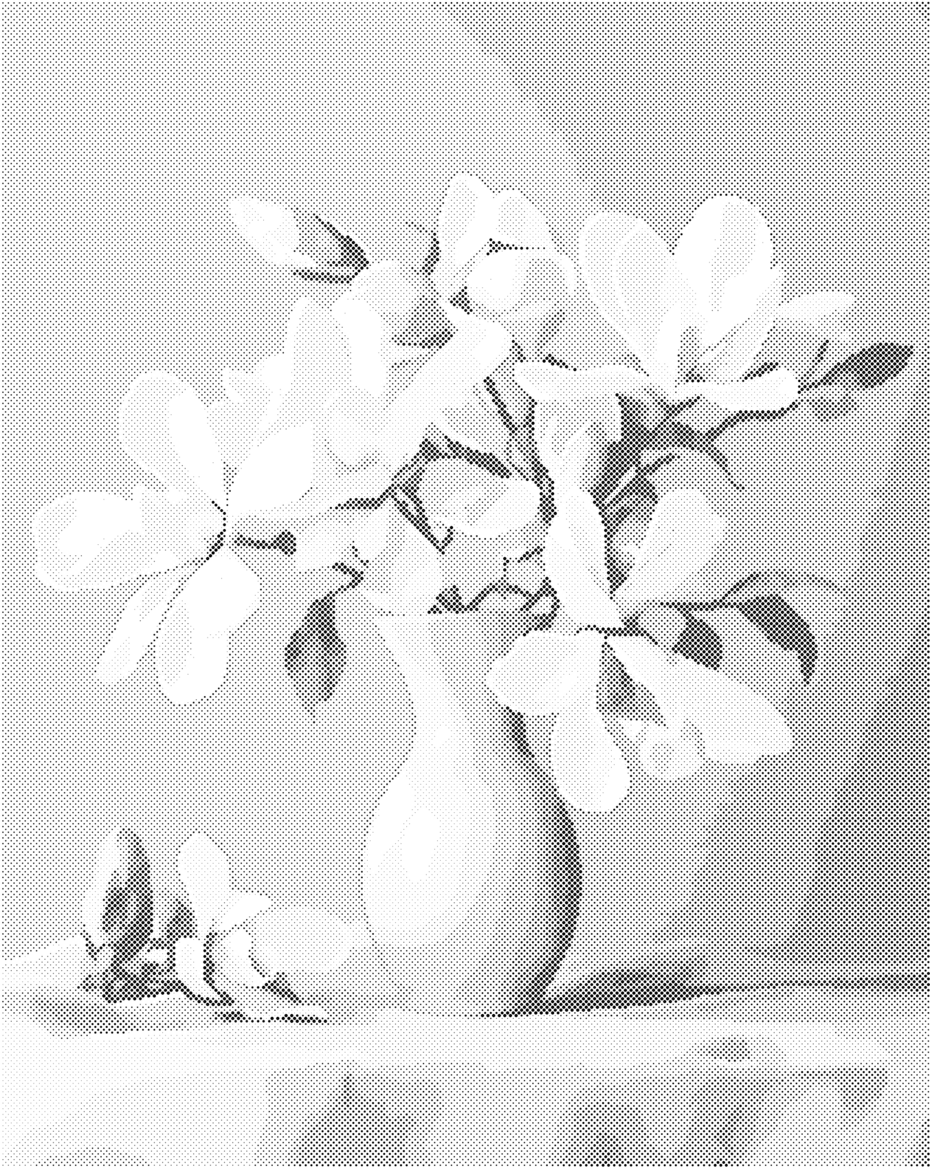 Tečkování - MAGNÓLIE 7 Rozměr: 40x50 cm, Rámování: vypnuté plátno na rám