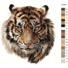 Malování podle čísel - HLAVA TYGRA