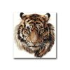Malování podle čísel - HLAVA TYGRA