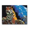 Malování podle čísel - TYGR POD NOČNÍ OBLOHOU