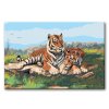 Malování podle čísel - TYGR S TYGŘICÍ