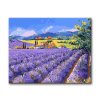 Malování podle čísel - LEVANDULOVÉ POLE III