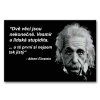 Malování podle čísel - ALBERT EINSTEIN - česky