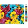 Malování podle čísel - BAREVNÉ KVĚTINY