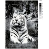 Malování podle čísel - ČERNOBÍLÝ TYGR