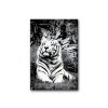 Malování podle čísel - ČERNOBÍLÝ TYGR