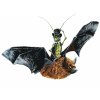 Malování podle čísel - NETOPÝR A KOBYLKA (HOLLY SIMENTAL)