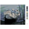 Malování podle čísel - ALIGÁTOR HLAVA VE VODĚ (D. RUSTY RUST)