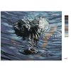 Malování podle čísel - ALIGÁTOR HLAVE VE VODĚ (D. RUSTY RUST)