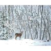 Malování podle čísel - SRNA A ZASNĚŽENÉ STROMY (D. RUSTY RUST)