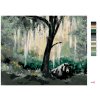 Malování podle čísel - MEDVĚD V LESE (D. RUSTY RUST)