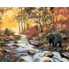 Malování podle čísel - MEDVĚD U ŘEKY A ZÁPAD SLUNCE (D. RUSTY RUST)