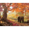 Malování podle čísel - MEDVĚD V PODZIMNÍM LESE (D. RUSTY RUST)