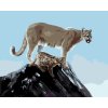 Malování podle čísel - PUMA S MLÁDĚTEM (D. RUSTY RUST)