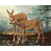 Malování podle čísel - SRNA A KOLOUCH (D. RUSTY RUST)