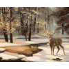 Malování podle čísel - JELEN A ZAMRZLÝ POTOK (D. RUSTY RUST)
