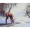 Malování podle čísel - JELEN PIJE Z POTOKA V ZIMĚ (D. RUSTY RUST)