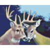 Malování podle čísel - ZAMILOVANÝ JELEN A LAŇ (D. RUSTY RUST)