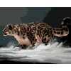 Malování podle čísel - LEOPARD NA SNĚHU (D. RUSTY RUST)