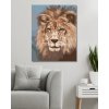 Malování podle čísel - LEV - KRÁL ZVÍŘAT (D. RUSTY RUST)